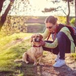 Are dog ticks harmful to humans