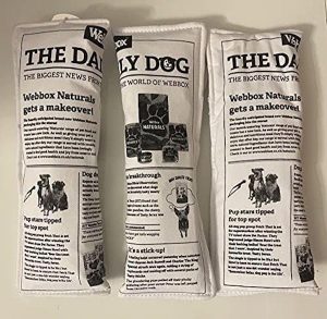 Surrey Feed Doggy Newspaper Toy