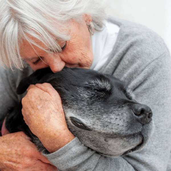 comparing dog age to human age
