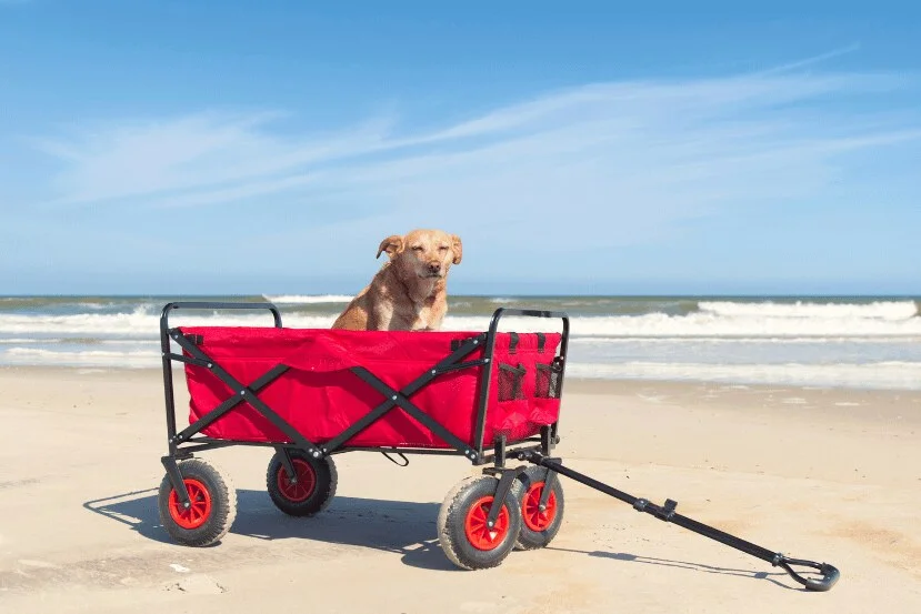 dog wagons for large senior dogs