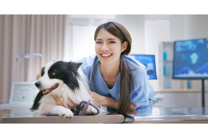 Additional Specialists For Senior Dogs​