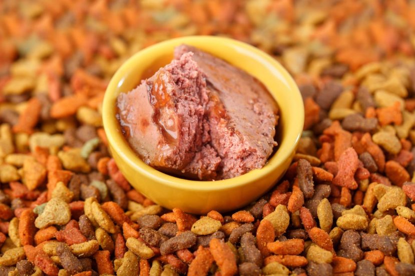 wet dog food in a bowl on dry kibble