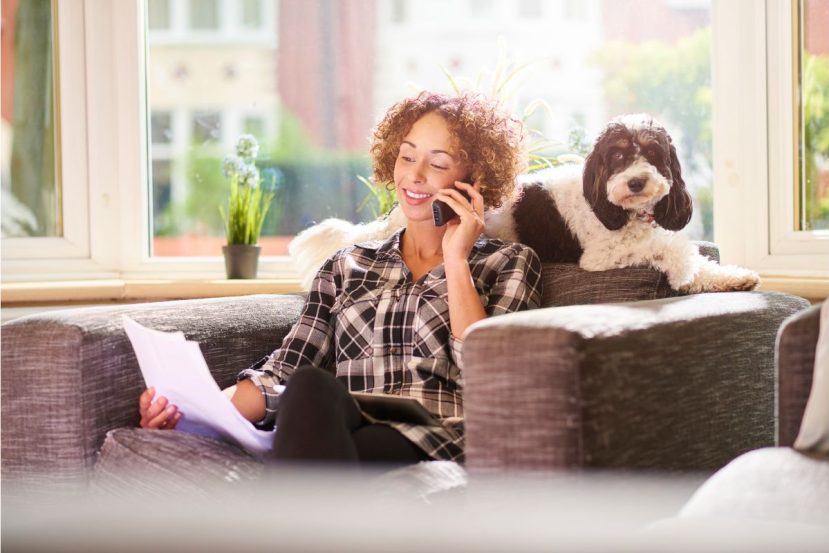 The Best Senior Dog Insurance Providers In The US​