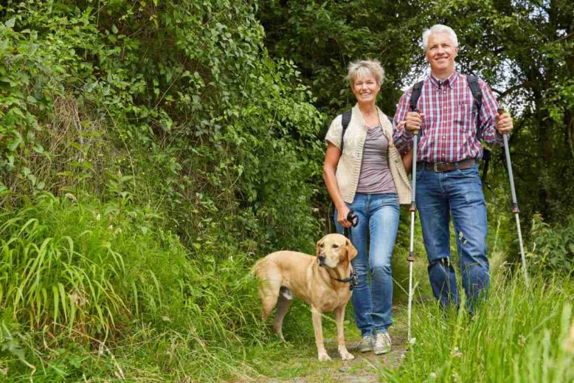 elderly couple hiking with their dog