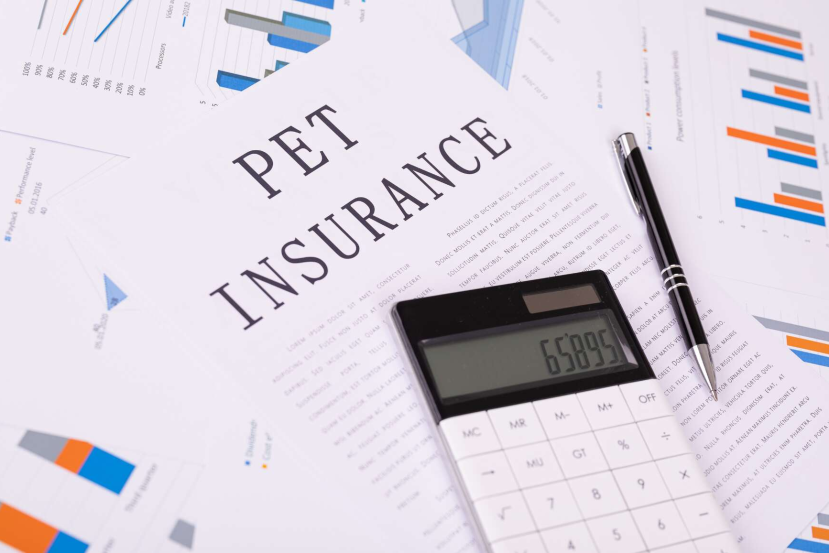 pet insurance costs